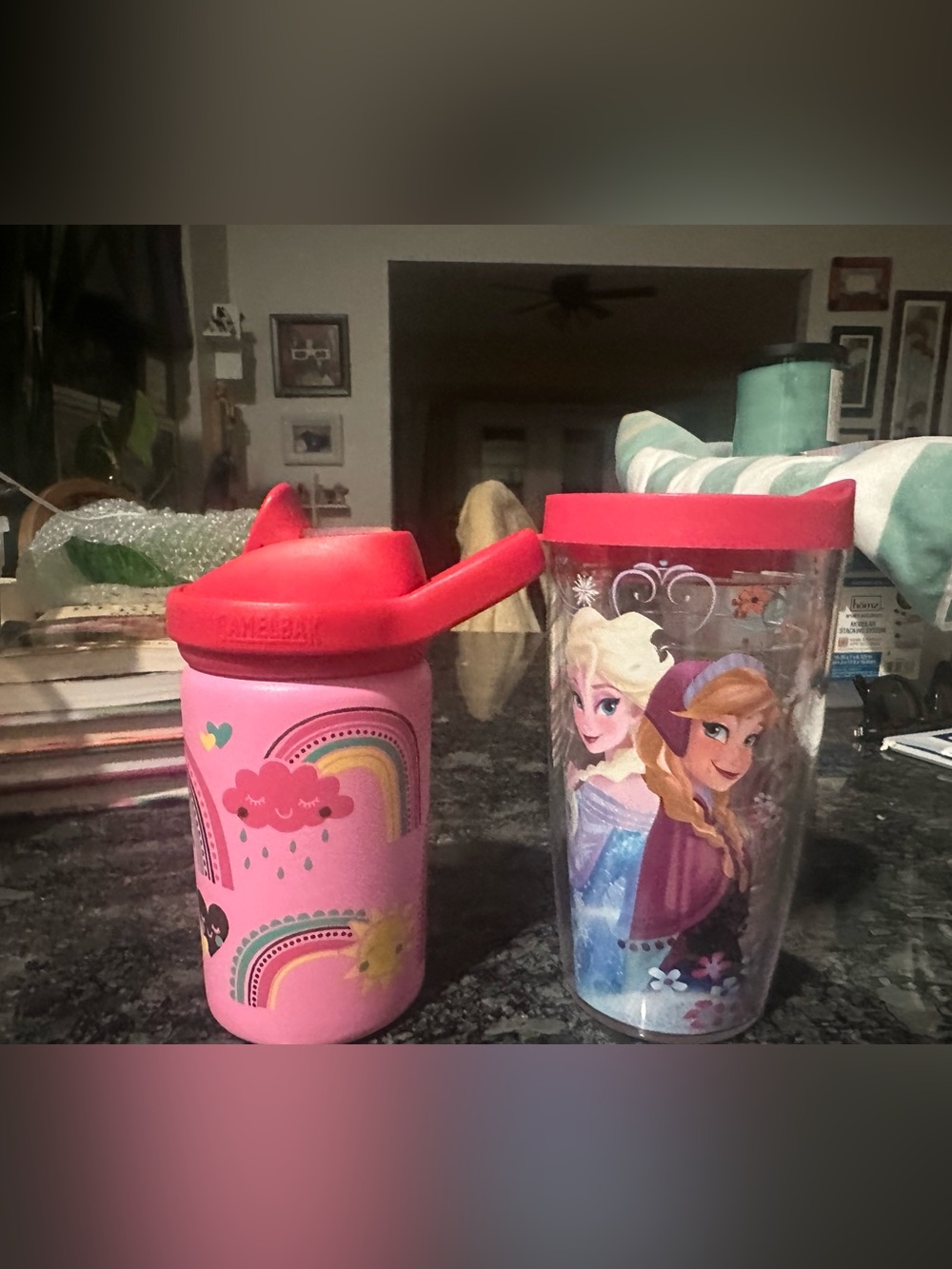 Camelbak & Tervis Tumbler cups